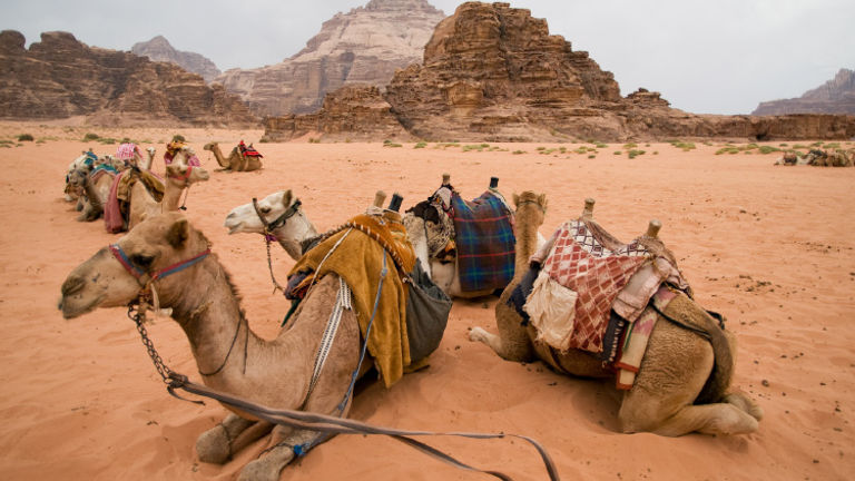 A new map for tourists helps direct visitors to community businesses, as well as to The Jordan Trail, which runs through Wadi Rum. // © 2018 Getty Images