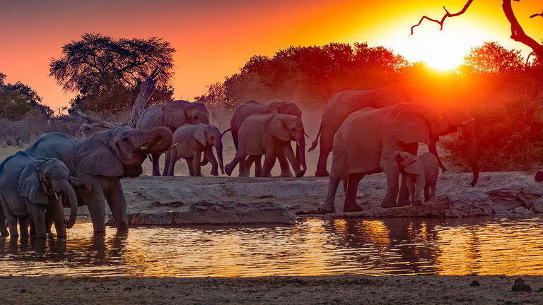 A watering hole in Botswana