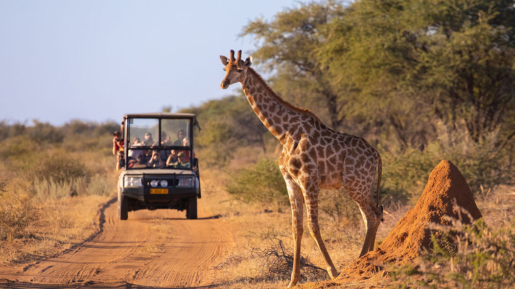 African Safari Trends for 2024 Include Higher Budgets, Sustainable Travel and Beach-Safari Combos