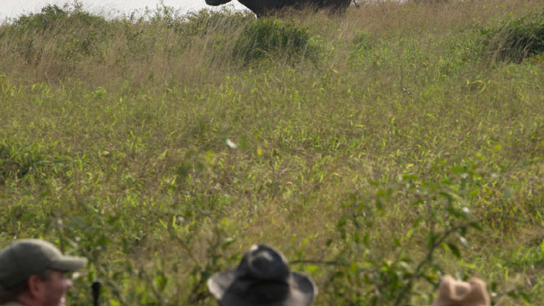 AndBeyond properties take guests on thrilling game drives. // © 2017 AndBeyond