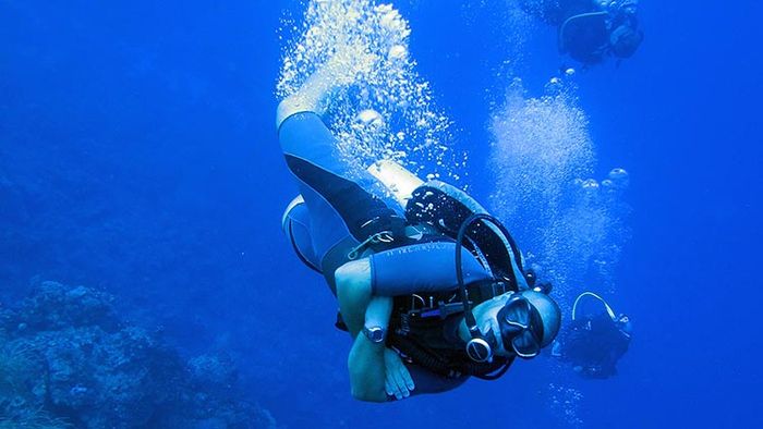 Best Caribbean Dives