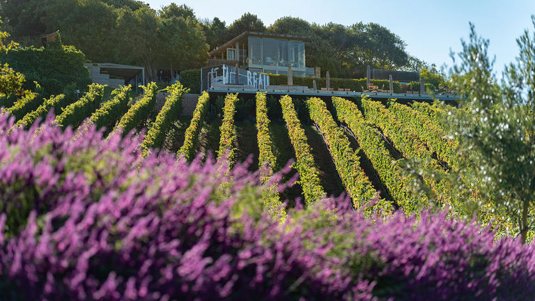 Cape Town’s Beau Constantia winery offers stunning views.