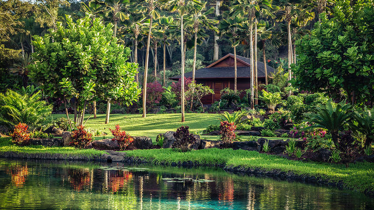 Guests can enjoy a treatment in one of the spa hales.