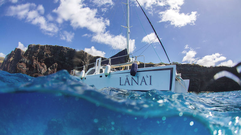 Guests can go snorkeling from an ocean catamaran.