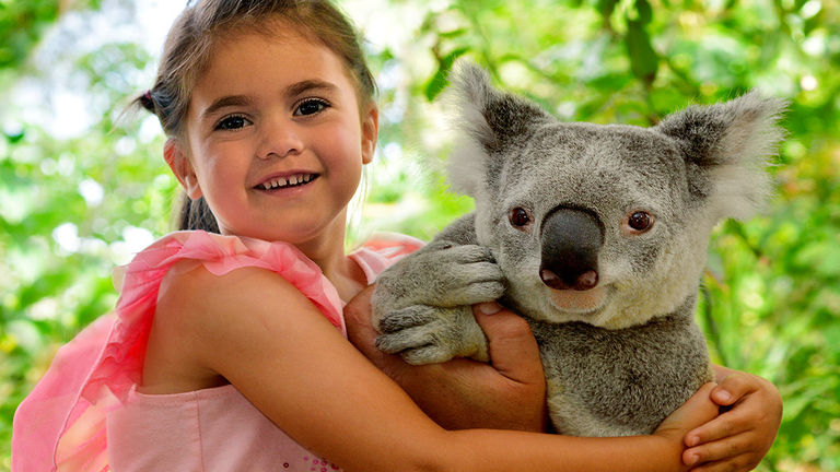 Holland America guests visit a koala sanctuary.