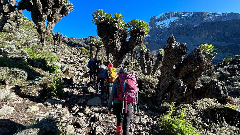 MT Sobek offers climbs of Mt. Kilimanjaro.