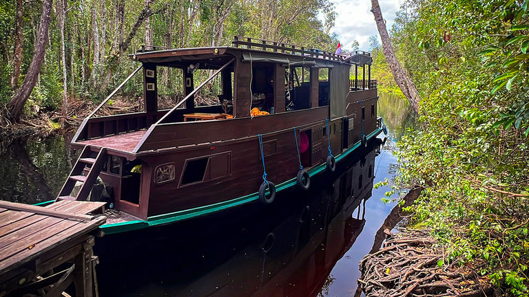 Orangutan Trekking Tours’ Jungle Papa riverboat.