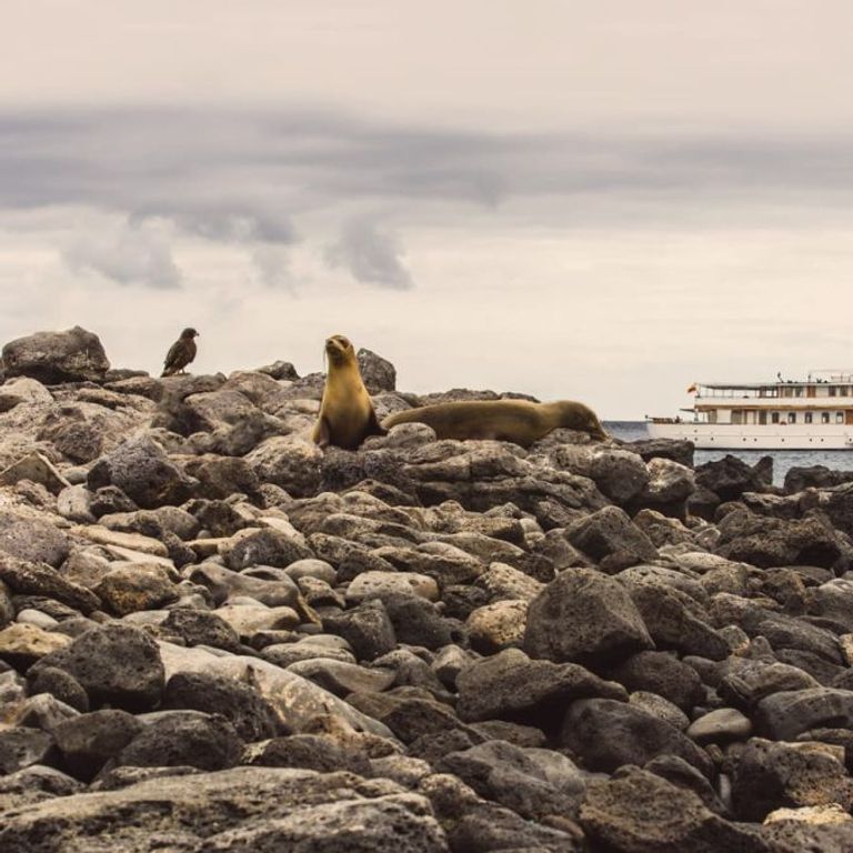 Quasar Expeditions Cruises & Ships