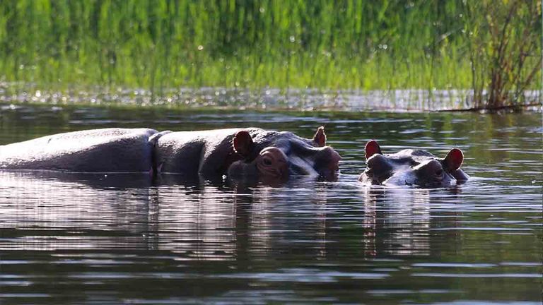 rwandanationalparks