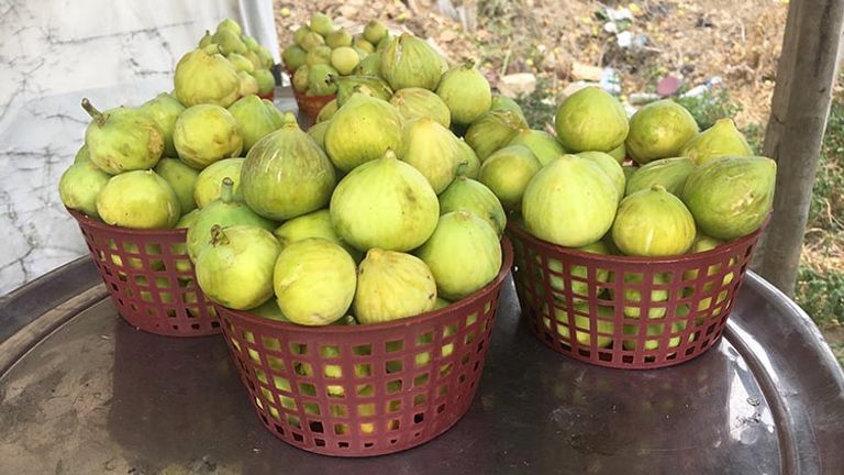 Travelers can pull over to the side of the road for a basket of ripe figs. // © 2017 Giselle Abcarian