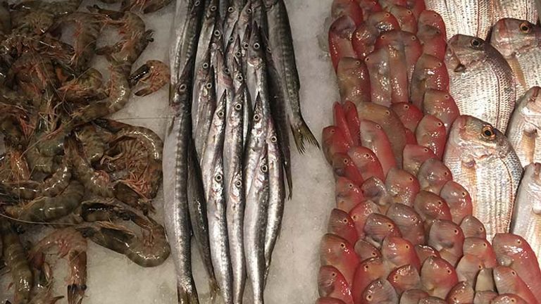 Upon entering a Lebanese seafood restaurant, clients are asked to pick out their fish for the night. // © 2017 Giselle Abcarian