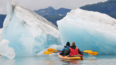 Wildlife, Dog Sleds and Glaciers: Wild Activities in Southcentral Alaska